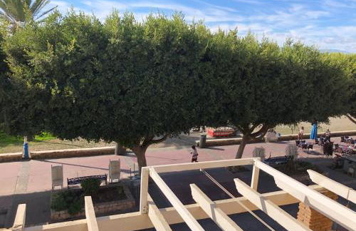 Aunt Antonia Beach House - Photo 59