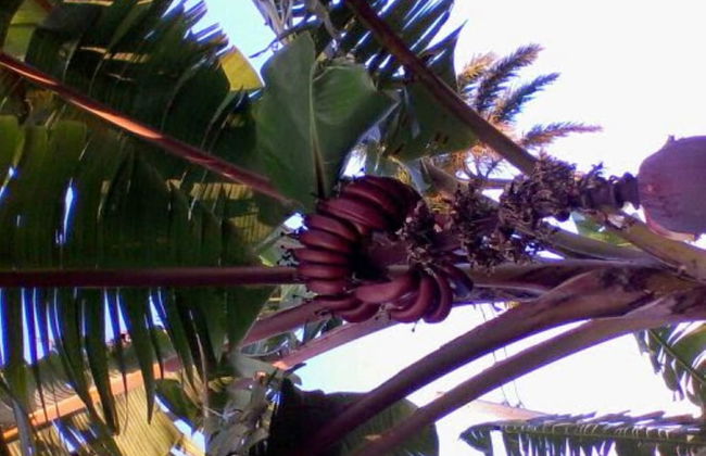 Holiday House at Villa Montego - Photo 78