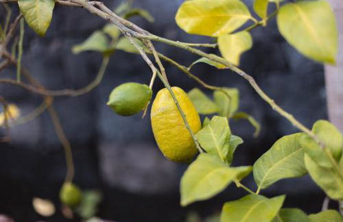 Casa Melián - Foto 33
