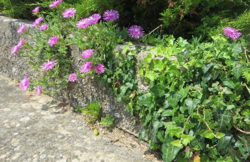 Gianna Apartment Labin - Foto 32