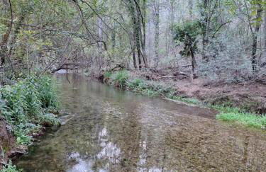 El Quejigo - Foto 20