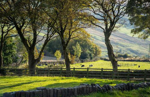 Farways Den - Foto 19