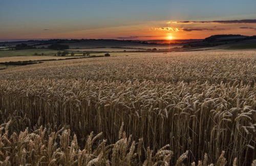 Byford Lodge Luxury self-catering in Louth - Foto 32