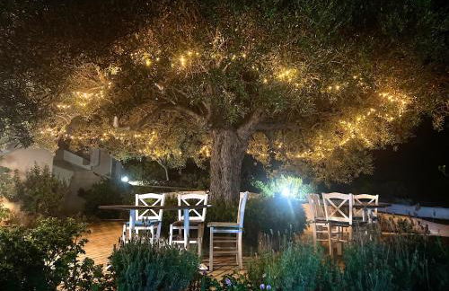 Katerina Charming Place - Foto 36