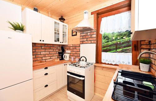 Ranczo w Beskidach - Foto 11