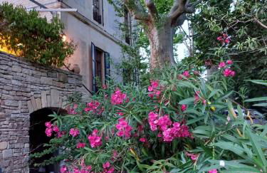 Château de Livière - Photo 17