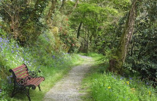 Kingfisher - Foto 21