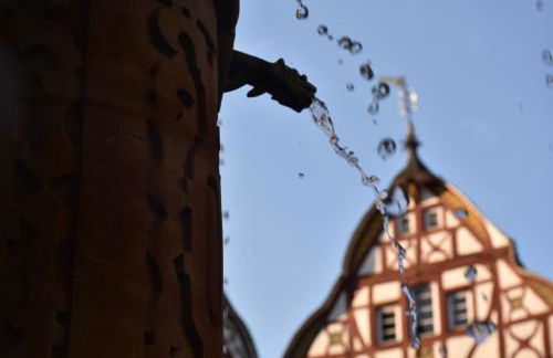 Fewo-Bernkastel-Kues - Photo 6