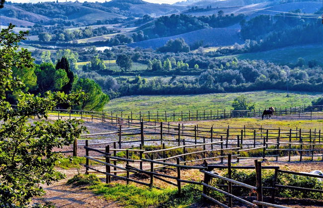 Tenuta I Mandorli - Foto 40