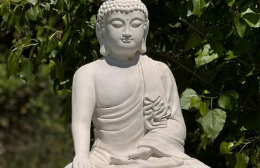 Quinta da Portela - Foto 16