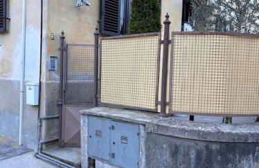 i tulipani - Foto 32