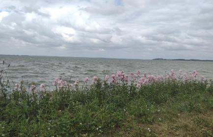 moderne 3-Raum Ferienwohnung Strandmöwe mit Panoramafenster - Foto 18
