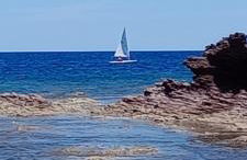 tommy house - Foto 50