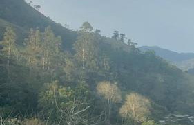 Chalé Bem-te-vi Vista espetacular da Serra da Mantiqueira - Foto 6