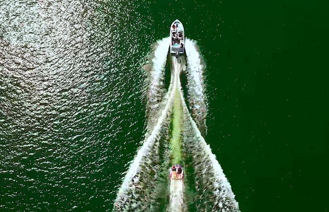 Finca Paraiso Glamping - Photo 14