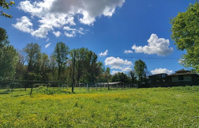 Gorgeous Vacation Home With Pool - Foto 25