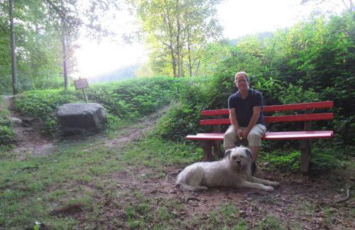 Ferienwohnung-Schoenmuenzblick-Urlaub-im-Nationalpark-Schwarzwald-Schwarzwald-Plus-inklusive - Photo 43