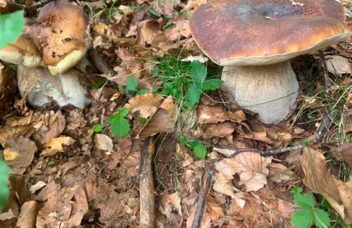 Chalet Lawà - Foto 39