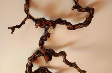 Rincón Oasis Nazaret - Foto 39