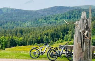 Ferienhaus am Bächle - Foto 17