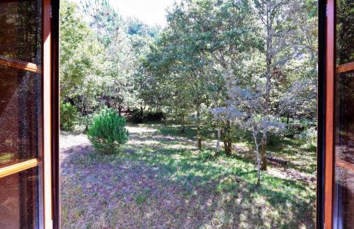 Casa das Gandas - Foto 34