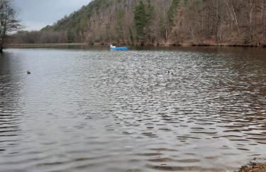 Ferienwohnung "Harzliebe" - FeWo in Quedlinburg OT Gernrode im Harz - Foto 21