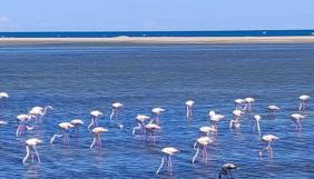 Les hauts d'azur - Foto 2