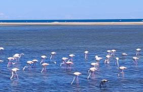 Les hauts d'azur - Foto 2