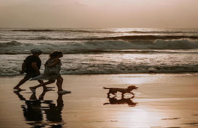 Detached Holiday Home in Schoorl With Garden - Photo 32