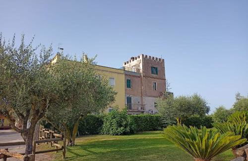 La Torre di Barbara - Foto 73