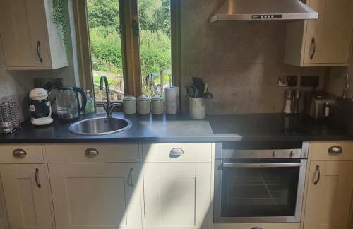 Swn Y Nant Lodge with hot tub Brecon - Foto 29