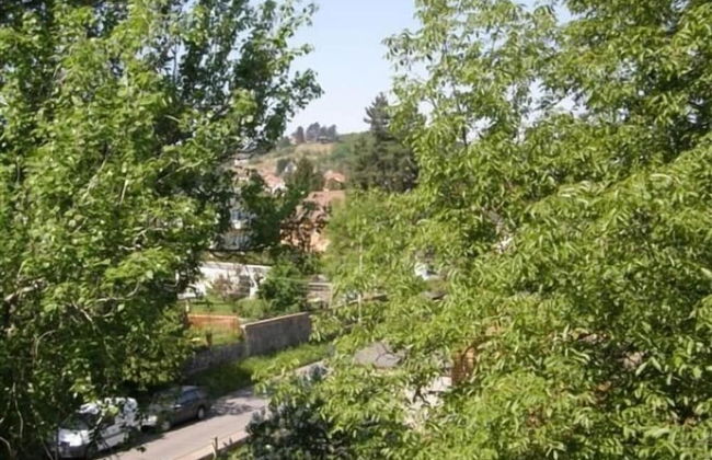 Villa Bellevue Dresden - Foto 33