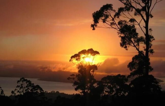 Woodbridge Hill Hideaway - Foto 16