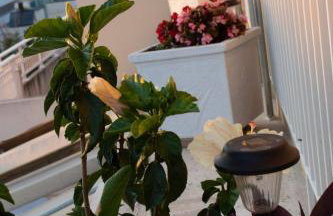 Downtown Cozy penthouse For balcony lovers - Foto 15