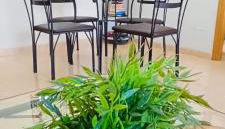 Casa Finlandia - Foto 5