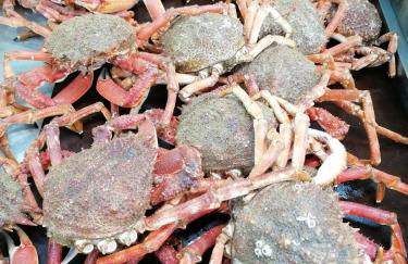 Villa "Keryoc'h" - Foto 49