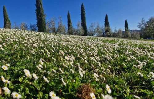 Agriturismo Val della Pieve - Foto 33