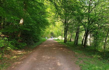 Ferienwohnung am Saarweg - Photo 14