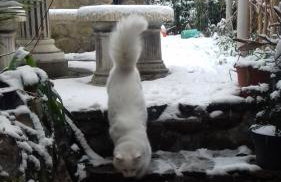 Apartments Jug - Foto 33