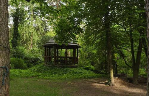 Leśny kasztel pod sosnami. Pokój w koronach drzew. - Foto 5