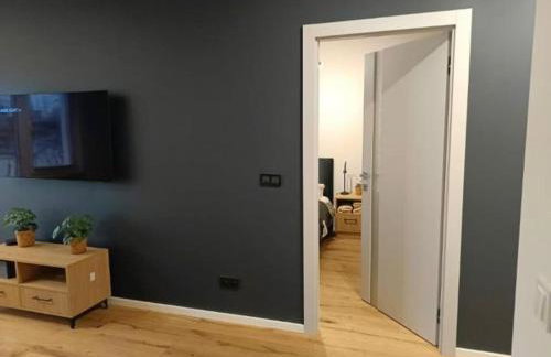 APARTAMENT FLOW Walendów - Foto 4