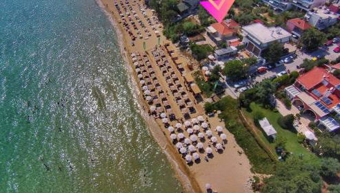 Stellar Blue Palio - Foto 3