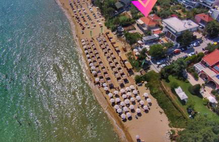 Stellar Blue Palio - Foto 3