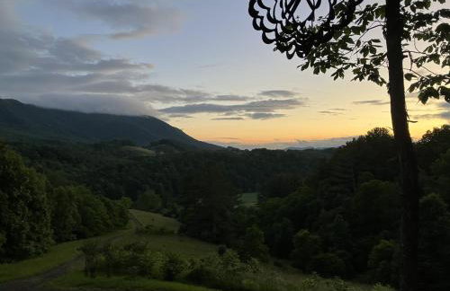 Mountain Top Cabin! Hot tub, Fireplace, Dog Friendly - Photo 26