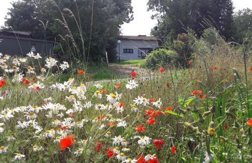 Haus am Wald - Foto 21