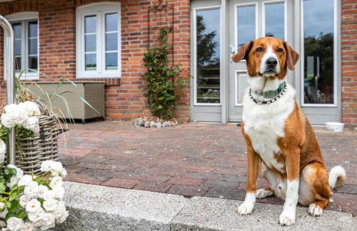 Landhaus Knudsen - Foto 16