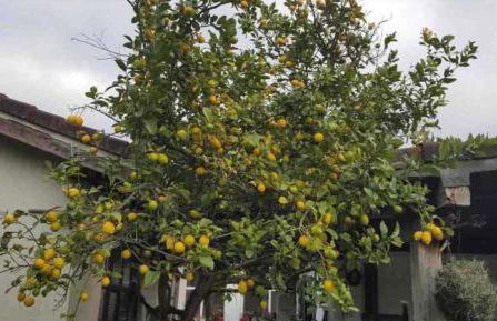 La casa de Cudón - Foto 28