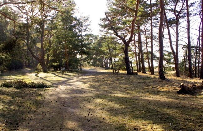 Holiday Home Strandbusch - Foto 16