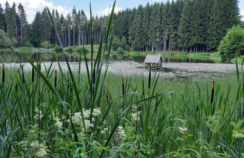 Ferienwohnung Elena - Foto 31