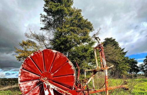 Santuário SOS Animal - Foto 38